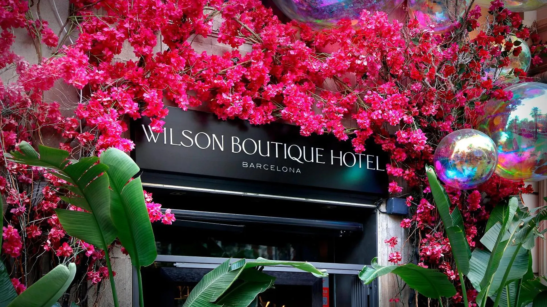 Wilson Boutique Hotel Barcelona